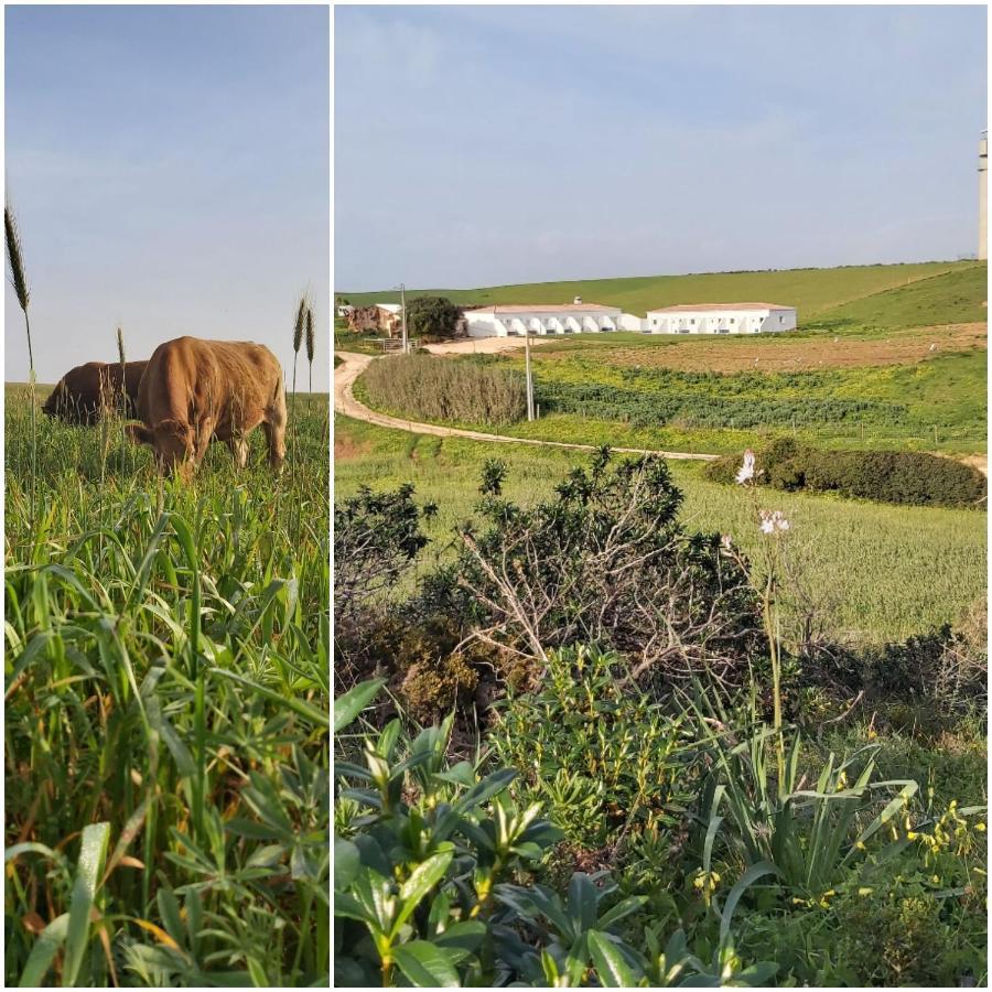 Monte Bagao - Turismo Rural Vila do Bispo Dış mekan fotoğraf